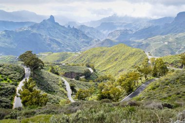 Gran Canaria dağ yolu, yatay. İspanya.