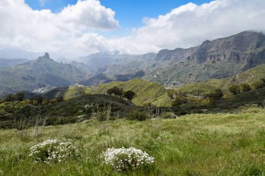 Gran Canaria dağlarda, yatay. İspanya.