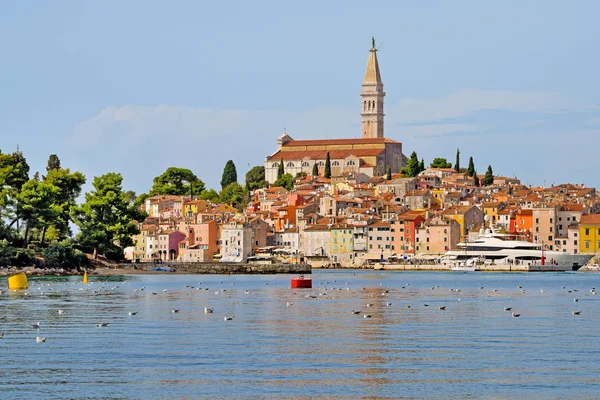 Vista do centro de Rovinj no verão — Fotografia de Stock