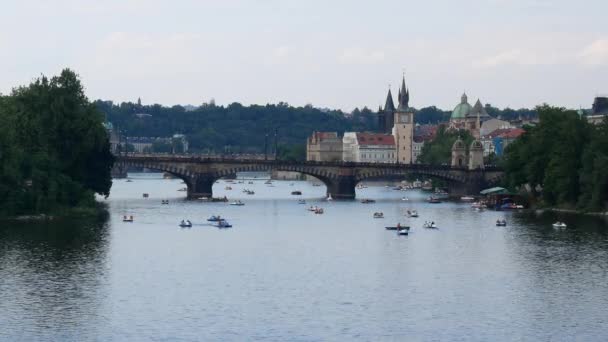布拉格 捷克共和国 2017年7月7日 多云天气下伏尔塔瓦河河上的小船 — 图库视频影像
