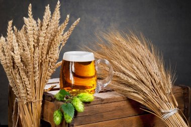 bardak bira ve bira üretimi için ham maddeler