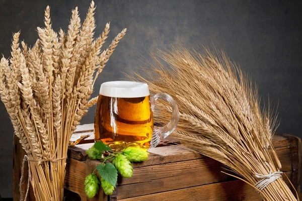 Sklenice piva a surovin pro výrobu piva — Stock fotografie