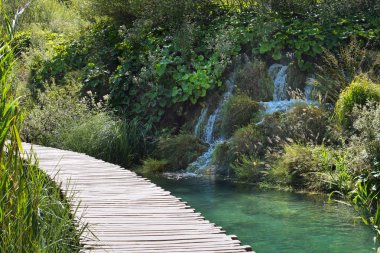 Plitvice Gölleri, Hırvatistan peyzaj. 