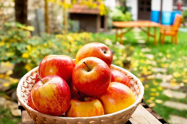 Red Apples in the Bowl in the Garden. — Stock Photo, Image