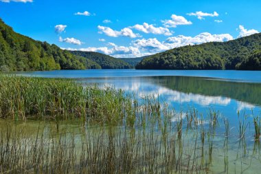 Plitvice Gölleri, Hırvatistan peyzaj. 