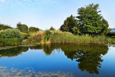 Botanik bahçe bitki örtüsü göle ile.