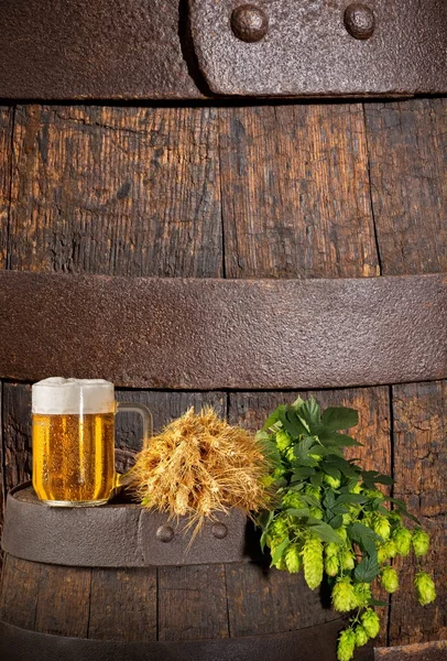 Glas Bier mit Hopfen und Gerste auf dem Fass — Stockfoto