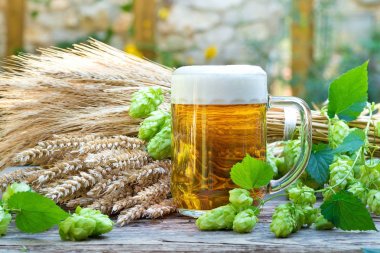 bira cam ve hop koniler ile natürmort