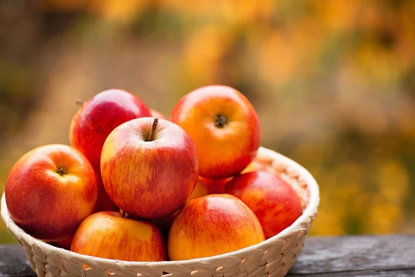 Red Apples in the Bowl in the Garden. — Stock Photo, Image