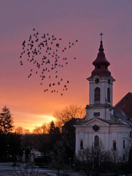Rebanho de pombos voando em torno da Igreja em frente ao nascer do sol . — Fotografia de Stock