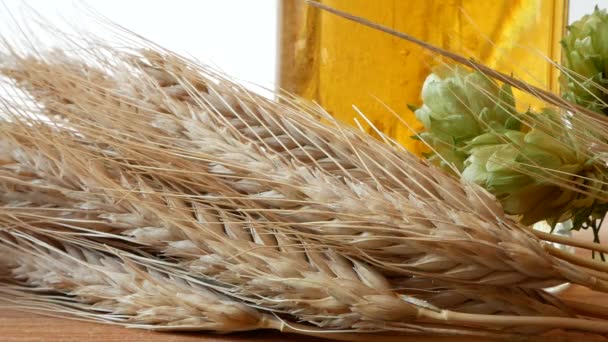 Detail Beer Glass Hops Barley Pouring Beer Glass — Stock Video