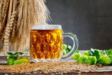 Natürmort hop koniler ve bira üretimi için ham maddeler