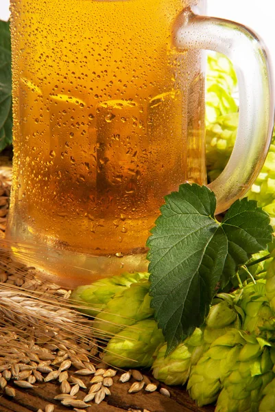 Glas öl och råmaterial för att tillverka öl — Stockfoto