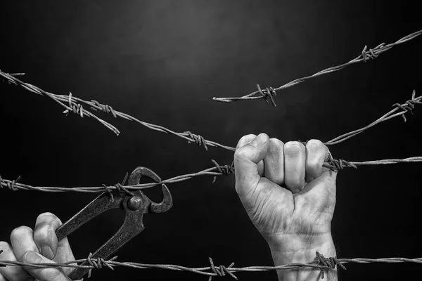 Man is Cutting a Fence of Barbed Wire — Stock Photo, Image