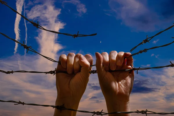 Two Hand Hanging on the Barbed Wire — Stock Photo, Image