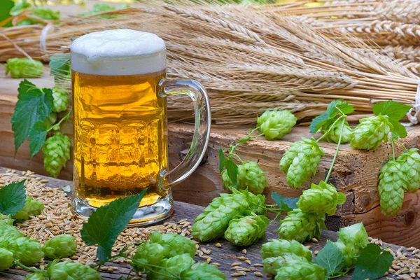 Beer Glas with Hop Cones and Barley — Stock Photo, Image