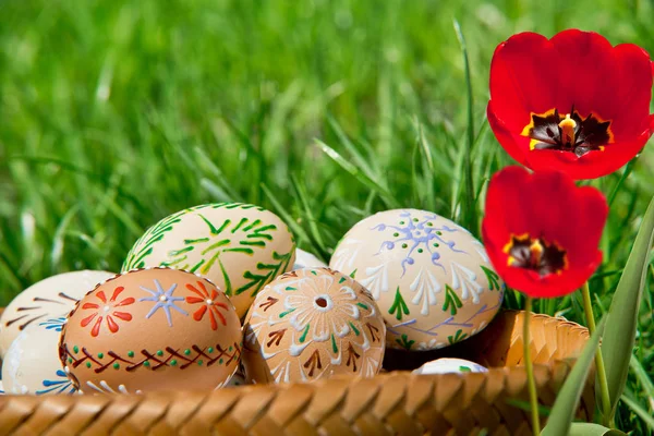 Huevos de Pascua en la cesta con tulipanes rojos — Foto de Stock