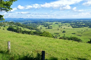 Byron Shire manzarada Sümer. Avustralya'da.