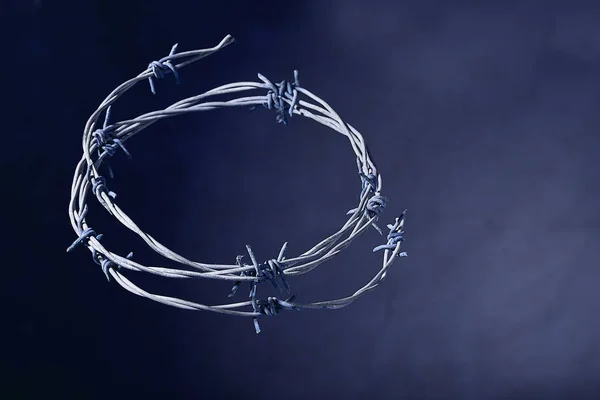 Crown of Thorns of the Blue Background — Stock Photo, Image