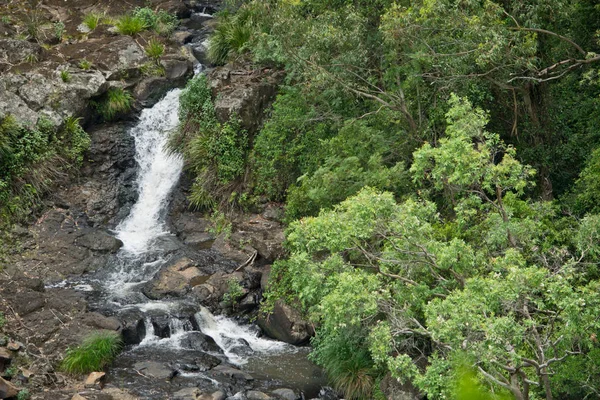 Ein wasserfall und ein bach in queensland in australien — Stockfoto