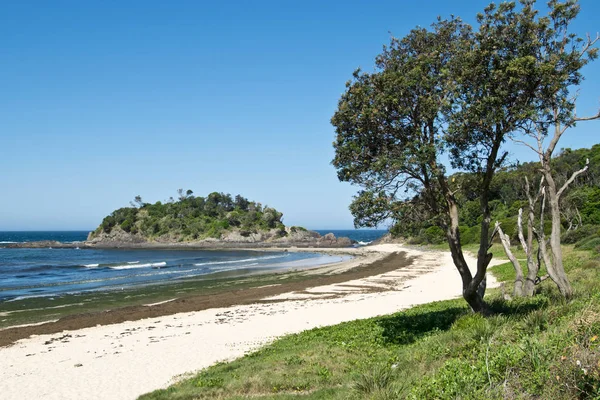 Un reteat costero en el campo australiano — Foto de Stock