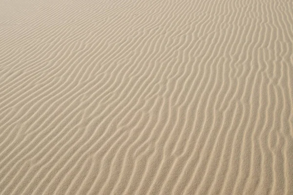 Detail of sand dunes in Myall Lakes in Australia. — Stock Photo, Image