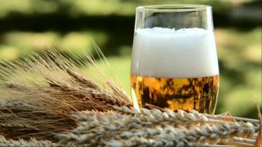 Bardağa bira dolduruyorum. Yakınlaştır.