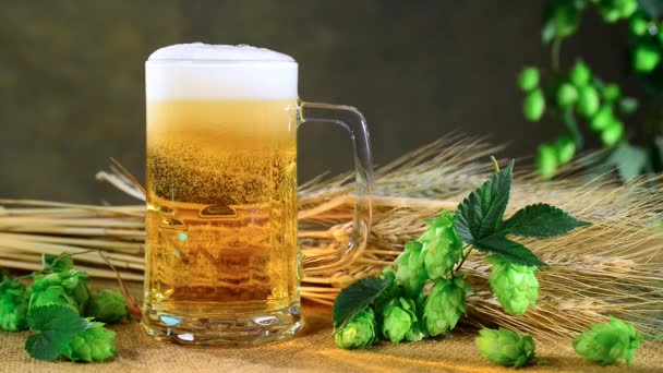 Deitar Cerveja Num Copo Ampliar — Vídeo de Stock