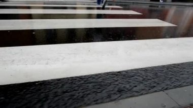 Yağmurda yaya geçidi. Gerçek zamanlı..