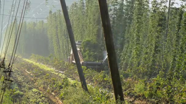 Tractor Que Transporta Lúpulo Cosechadora — Vídeo de stock