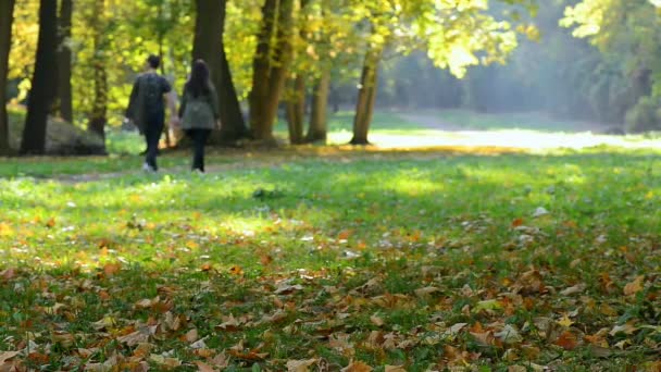 Pair Young People Walking Autumn Park — Stock Video