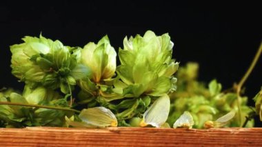 Siyah arkaplandaki sıçrama konilerinin ayrıntıları. Yakınlaştır.