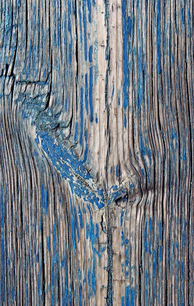 Old Blue Wood Texture Natural Patterns Dry Cracked Tree Old — Foto de Stock