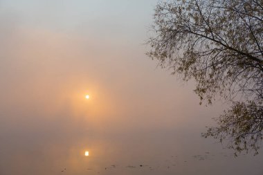 Sonbahar sis gündoğumu