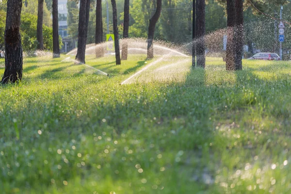 Otomatik sprinkler günbatımında parkta çim sulama — Stok fotoğraf