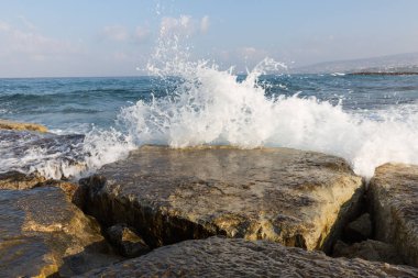 Yaz tatili denizde. Yüzme, plaj, dinlenme.