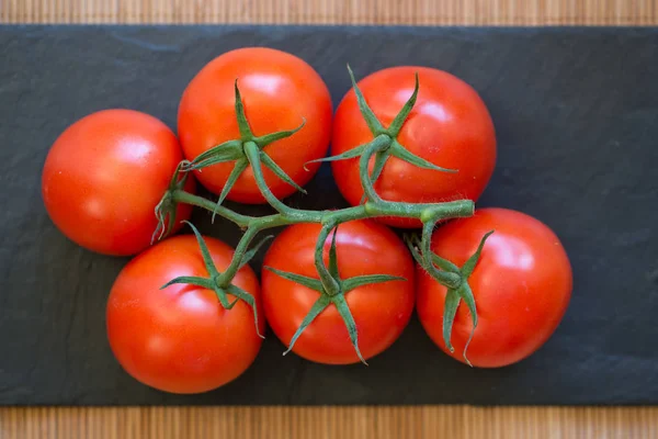 Rama de tomate en pizarra negra — Foto de Stock