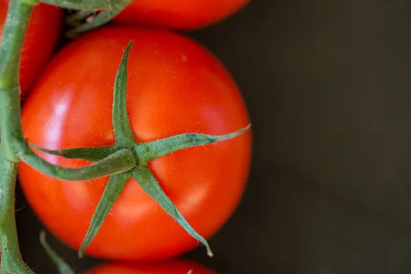 Rama de tomate en pizarra negra — Foto de Stock