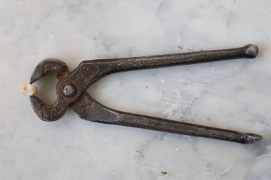 Kaldırılan diş ve pense