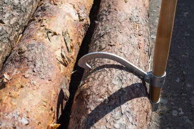 Ahşap kütüğü için Capture.