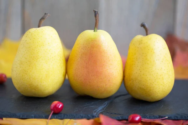 Ripe juicy pears on a yellow autumn foliage — Stock Photo, Image