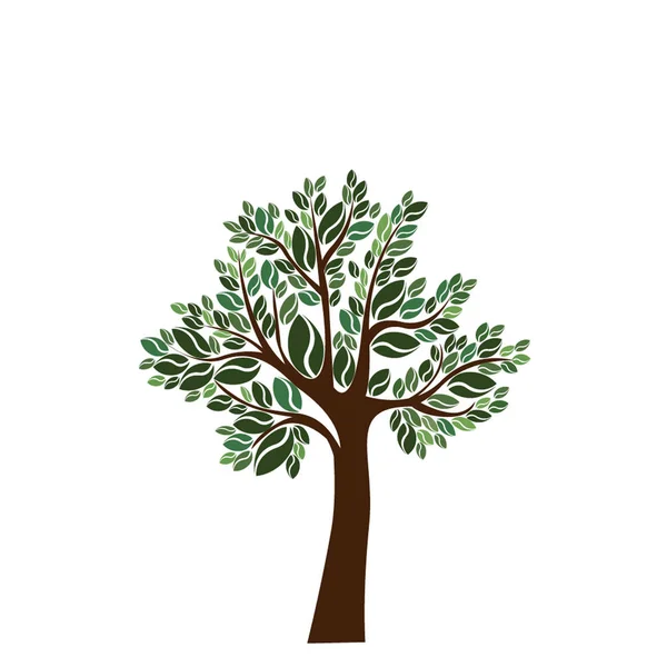 Vektor träd illustration — Stock vektor