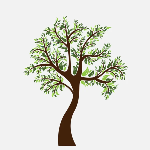 Illustrazione albero vettoriale — Vettoriale Stock