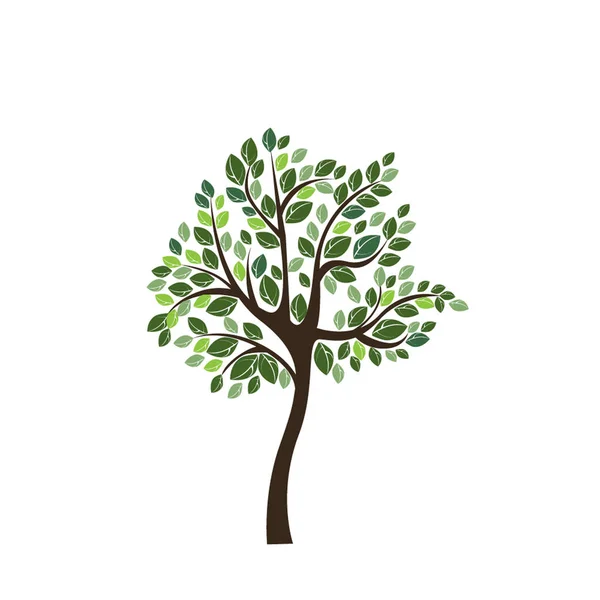 Ilustración del árbol vectorial — Archivo Imágenes Vectoriales