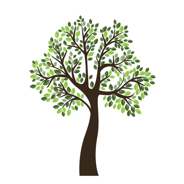 Vektorové ilustrace strom — Stockový vektor