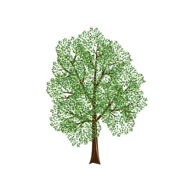 vektör ağaç çizimi