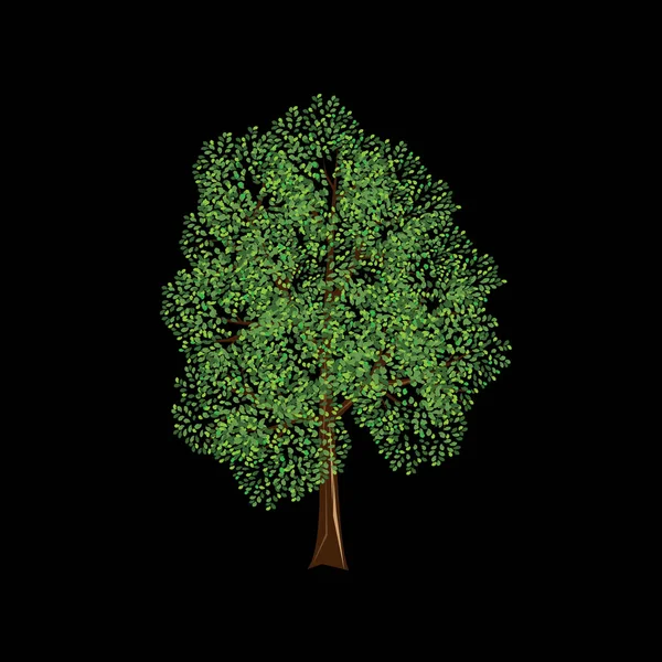 Drzewo ilustracja wektorowa — Wektor stockowy