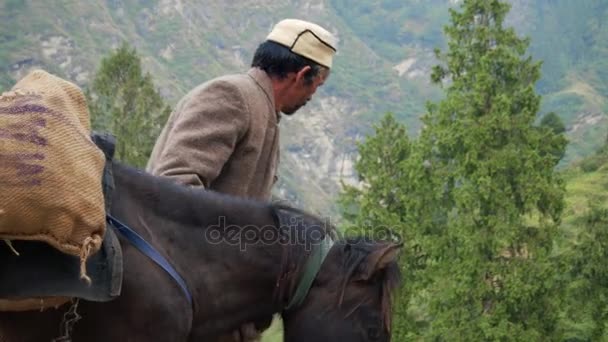 MANALI, ÍNDIA - 28 DE SETE DE 2016: Os pastores do Himalaia conduzem a caravana de cavalos com mercadorias nas montanhas — Vídeo de Stock