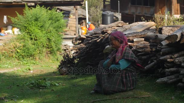 Manali, Indie - 28 září 2016: stará dáma closeup odlehlé vesnici, Himáčalpradéš, údolí Kullu — Stock video