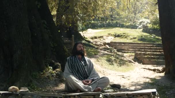 Um homem branco com uma barba sentada em meditação com pernas cruzadas debaixo da árvore — Vídeo de Stock